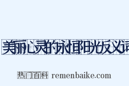 美丽心灵的永恒阳光反义词是什么意思的图片